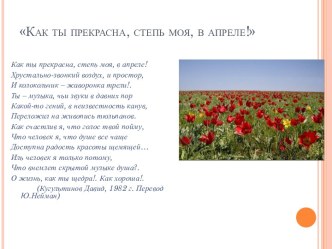 Урок  Цветы весны Калмыкии