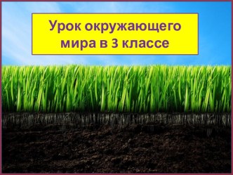 Презентация урока окружающего мира Почва и ее состав, 3 класс