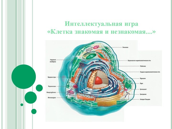 Интеллектуальная игра «Клетка знакомая и незнакомая…»