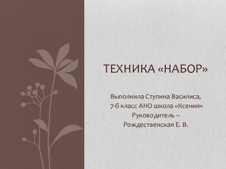 Выполнила Ступина Василиса, 7-б класс АНО школа «Ксения»Руководитель – Рождественская Е. В.Техника «набор»