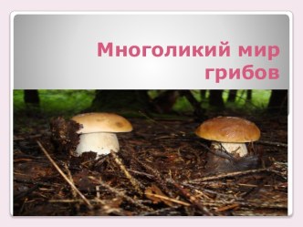 Презентация Многоликий мир грибов