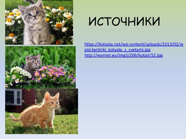 ИСТОЧНИКИhttps://kotyata.net/wp-content/uploads/2013/02/wpid-kartinki_kotyata_s_cvetami.jpghttp://warnet.ws/img5/206/kotjat/52.jpg