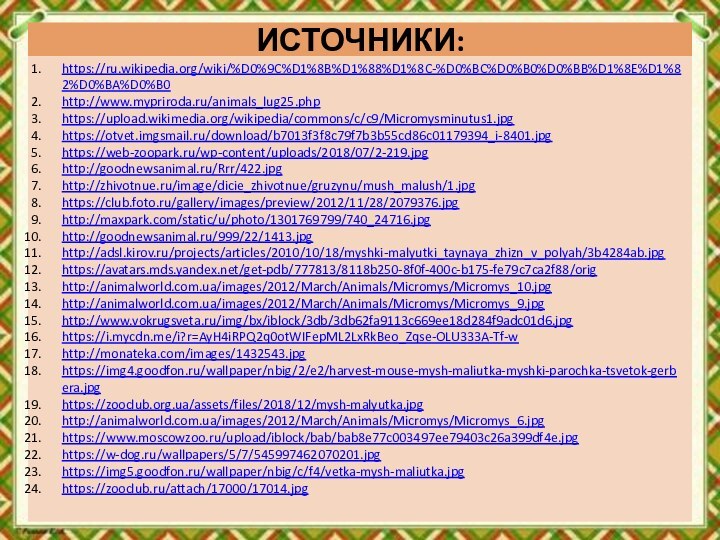 ИСТОЧНИКИ:https://ru.wikipedia.org/wiki/%D0%9C%D1%8B%D1%88%D1%8C-%D0%BC%D0%B0%D0%BB%D1%8E%D1%82%D0%BA%D0%B0http://www.mypriroda.ru/animals_lug25.phphttps://upload.wikimedia.org/wikipedia/commons/c/c9/Micromysminutus1.jpghttps://otvet.imgsmail.ru/download/b7013f3f8c79f7b3b55cd86c01179394_i-8401.jpghttps://web-zoopark.ru/wp-content/uploads/2018/07/2-219.jpghttp://goodnewsanimal.ru/Rrr/422.jpghttp://zhivotnue.ru/image/dicie_zhivotnue/gruzynu/mush_malush/1.jpghttps://club.foto.ru/gallery/images/preview/2012/11/28/2079376.jpghttp://maxpark.com/static/u/photo/1301769799/740_24716.jpghttp://goodnewsanimal.ru/999/22/1413.jpghttp://adsl.kirov.ru/projects/articles/2010/10/18/myshki-malyutki_taynaya_zhizn_v_polyah/3b4284ab.jpghttps://avatars.mds.yandex.net/get-pdb/777813/8118b250-8f0f-400c-b175-fe79c7ca2f88/orighttp://animalworld.com.ua/images/2012/March/Animals/Micromys/Micromys_10.jpghttp://animalworld.com.ua/images/2012/March/Animals/Micromys/Micromys_9.jpghttp://www.vokrugsveta.ru/img/bx/iblock/3db/3db62fa9113c669ee18d284f9adc01d6.jpghttps://i.mycdn.me/i?r=AyH4iRPQ2q0otWIFepML2LxRkBeo_Zqse-OLU333A-Tf-whttp://monateka.com/images/1432543.jpghttps://img4.goodfon.ru/wallpaper/nbig/2/e2/harvest-mouse-mysh-maliutka-myshki-parochka-tsvetok-gerbera.jpghttps://zooclub.org.ua/assets/files/2018/12/mysh-malyutka.jpghttp://animalworld.com.ua/images/2012/March/Animals/Micromys/Micromys_6.jpghttps://www.moscowzoo.ru/upload/iblock/bab/bab8e77c003497ee79403c26a399df4e.jpghttps://w-dog.ru/wallpapers/5/7/545997462070201.jpghttps://img5.goodfon.ru/wallpaper/nbig/c/f4/vetka-mysh-maliutka.jpghttps://zooclub.ru/attach/17000/17014.jpg