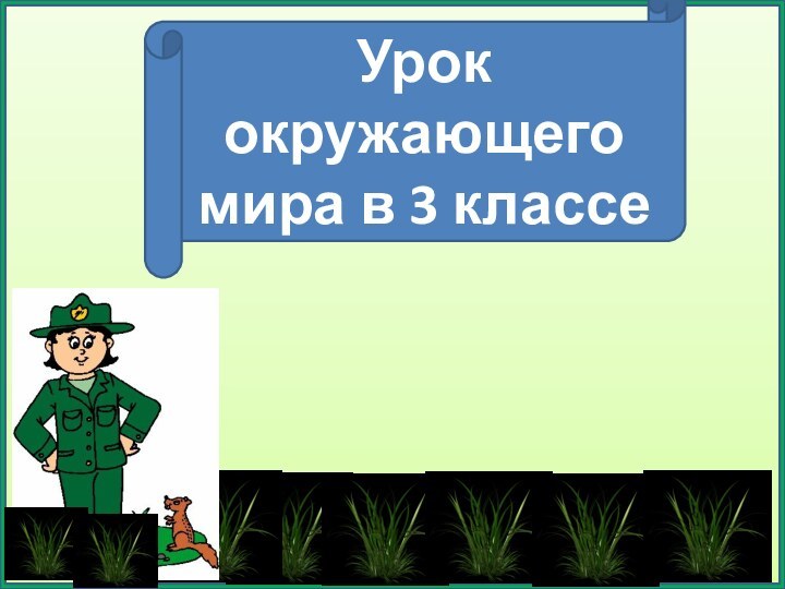 Урок окружающего мира в 3 классе