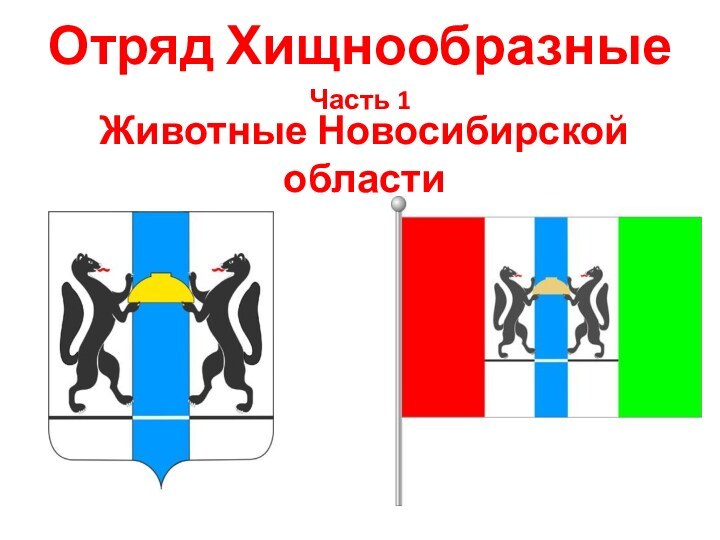 Животные Новосибирской области Отряд ХищнообразныеЧасть 1