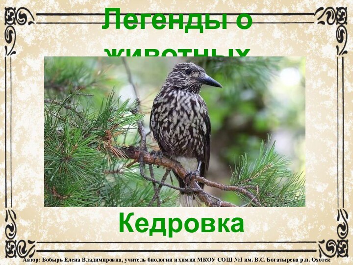 Легенды о животныхКедровкаАвтор: Бобырь Елена Владимировна, учитель биологии и химии МКОУ СОШ