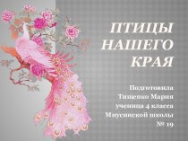 Презентация Птицы нашего края