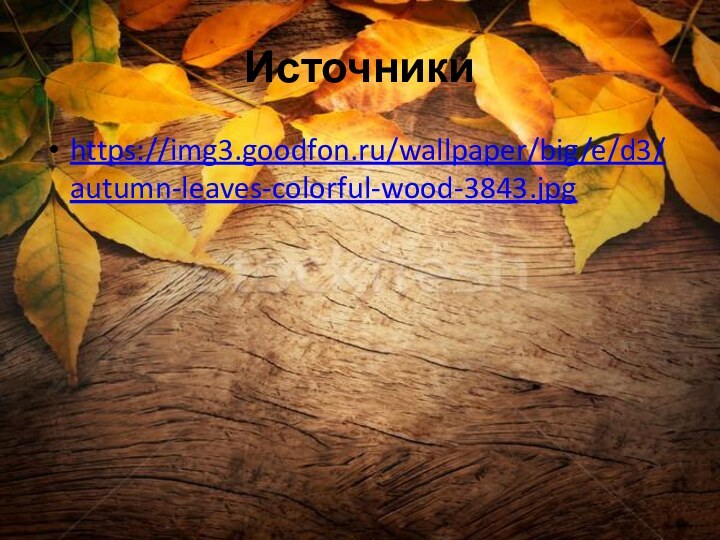 Источникиhttps://img3.goodfon.ru/wallpaper/big/e/d3/autumn-leaves-colorful-wood-3843.jpg