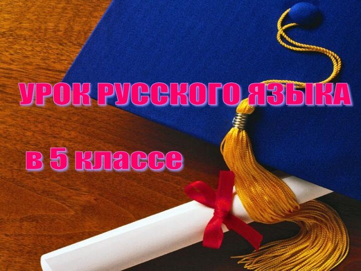 УРОК РУССКОГО ЯЗЫКА     в 5 классе