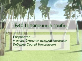 Презентация Шляпочные грибы