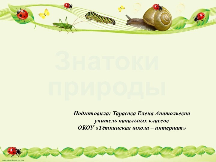 Знатоки природыПодготовила: Тарасова Елена Анатольевнаучитель начальных классовОКОУ «Тёткинская школа – интернат»