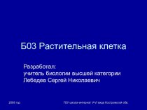 Презентация Растительная клетка