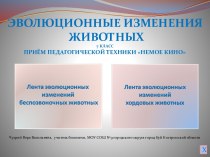 Материал к урокам биологии в 7 классе по теме: Эволюционные изменения животных