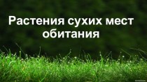 Презентация Растения сухих мест обитания