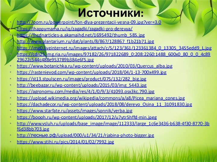 Источники:http://7oom.ru/powerpoint/fon-dlya-prezentacii-vesna-09.jpg?ver=3.0https://ihappymama.ru/iq/zagadki/zagadki-pro-derevya/https://fhcdnarticles-a.akamaihd.net/1695492/thumb_585.jpghttp://www.plantarium.ru/dat/plants/8/867/128867_f1b21b71.jpghttps://img0.liveinternet.ru/images/attach/c/5/123/361/123361384_0_13305_3455edd9_L.jpghttps://cdn25.img.ria.ru/images/97182/26/971822689_0:208:2260:1488_600x0_80_0_0_4c8929622c544c488e953789b384e6f5.jpghttps://www.botanichka.ru/wp-content/uploads/2010/03/Quercus_alba.jpghttps://rastenievod.com/wp-content/uploads/2018/04/1-13-700x499.jpghttps://st13.stpulscen.ru/images/product/075/132/282_big.jpghttp://beebazar.ru/wp-content/uploads/2015/03/img_5443.jpghttps://agronomu.com/media/res/4/1/0/9/3/41093.osx3kc.790.jpghttps://upload.wikimedia.org/wikipedia/commons/a/a8/Picea_mariana_cones.jpghttps://dachadecor.ru/wp-content/uploads/2018/08/derevo_Osina_11_31091830.jpghttps://www.starfate.ru/assets/images/sonnik/verba.jpghttps://boooh.ru/wp-content/uploads/2017/12/u7ytr5hffd-min.jpeghttp://www.vsluh.ru/uploads/base_image/image/112333/large_1c6e3436-b638-4f30-8770-3bf6d38bb703.jpghttp://лесные.рф/upload/000/u1/34/21/rjabina-photo-bigger.jpghttps://www.stihi.ru/pics/2014/01/02/7992.jpg
