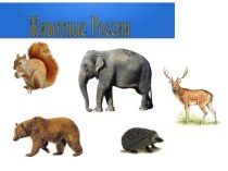Презентация к уроку окружающего мира Животные России, 1 класс