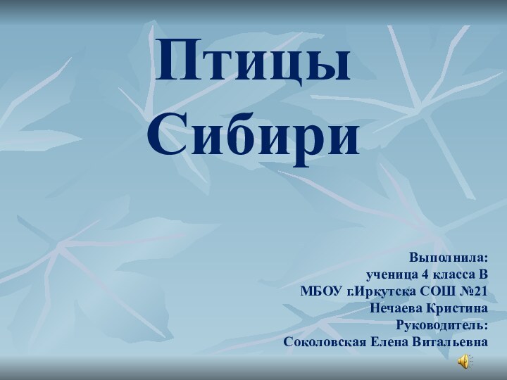 Птицы  СибириВыполнила: ученица 4 класса В МБОУ г.Иркутска СОШ №21Нечаева КристинаРуководитель: Соколовская Елена Витальевна