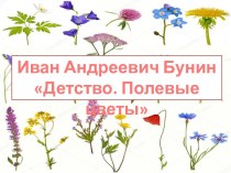 Презентация к уроку литературного чтения по теме И.А. Бунин Детство, Полевые цветы