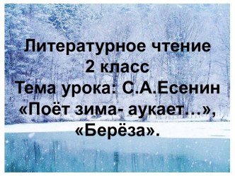 Презентация С.А.Есенин Поёт зима- аукает…, Берёза