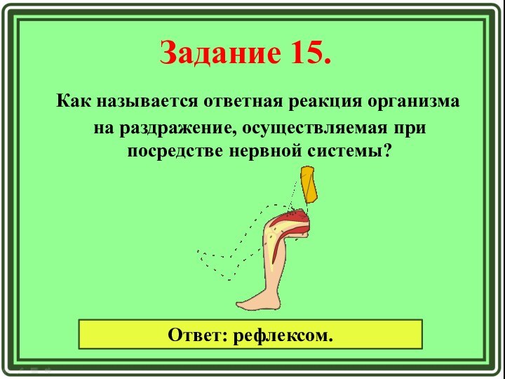 Задание 15. Как называется ответная реакция организма на раздражение, осуществляемая при посредстве нервной системы? Ответ: рефлексом.