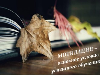 Мотивация - основное условие успешного обучения