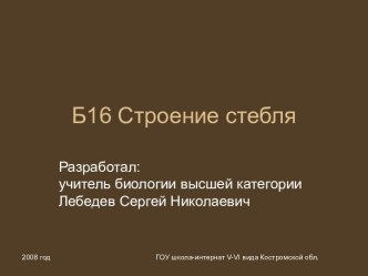 Презентация Строение стебля