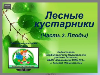 Интерактивная презентация Лесные кустарники, (Плодоношение)