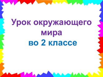 Презентация урока окружающего мира по теме: Твоя безопасность дома, 2 класс