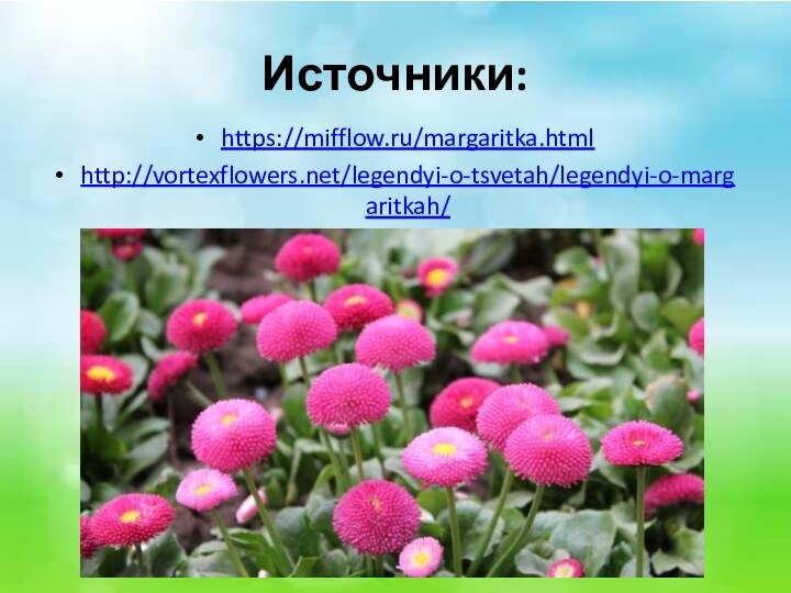 Источники:https://mifflow.ru/margaritka.htmlhttp://vortexflowers.net/legendyi-o-tsvetah/legendyi-o-margaritkah/