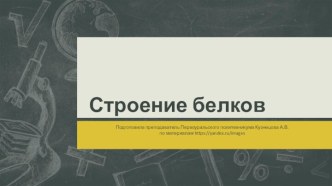 Презентация Строение белков