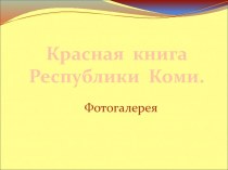 Красная книга Республики Коми (фотогалерея)