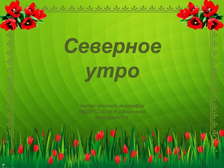 Автор :учитель географии МБОУ СОШ №79 г ВоронежаВалуйскаяЛ.Н.Северное утро