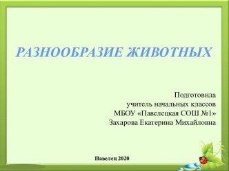 Презентация к уроку окружающего мира Разнообразие животных