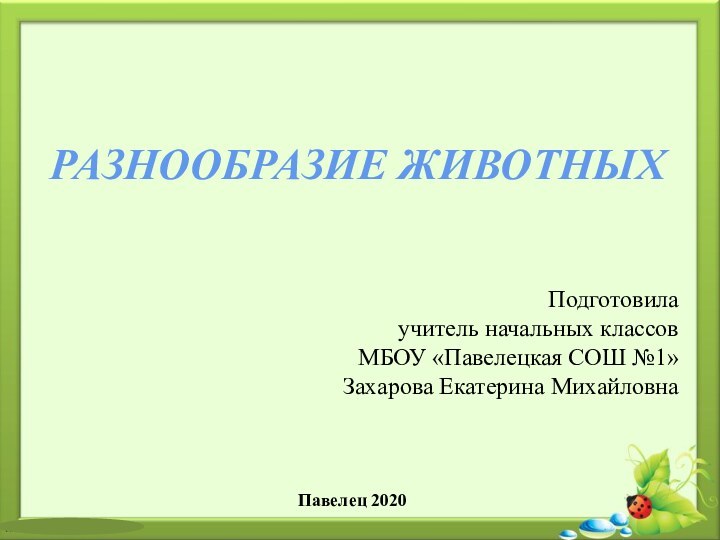 РАЗНООБРАЗИЕ ЖИВОТНЫХПодготовила учитель начальных классовМБОУ «Павелецкая СОШ №1»Захарова Екатерина МихайловнаПавелец 2020