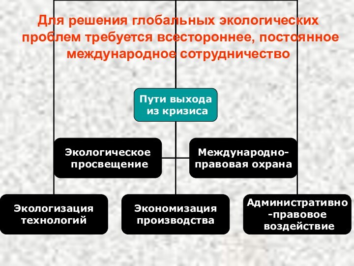 Для решения глобальных экологических проблем требуется всестороннее, постоянное международное сотрудничество