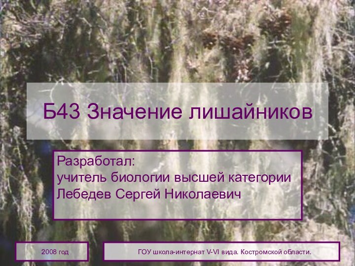 2008 годГОУ школа-интернат V-VI вида. Костромской области.Б43 Значение лишайниковРазработал: учитель биологии высшей категории Лебедев Сергей Николаевич