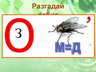 Интеллектуальный онлайн-квест  для 3-4 классов Экологическая тропа