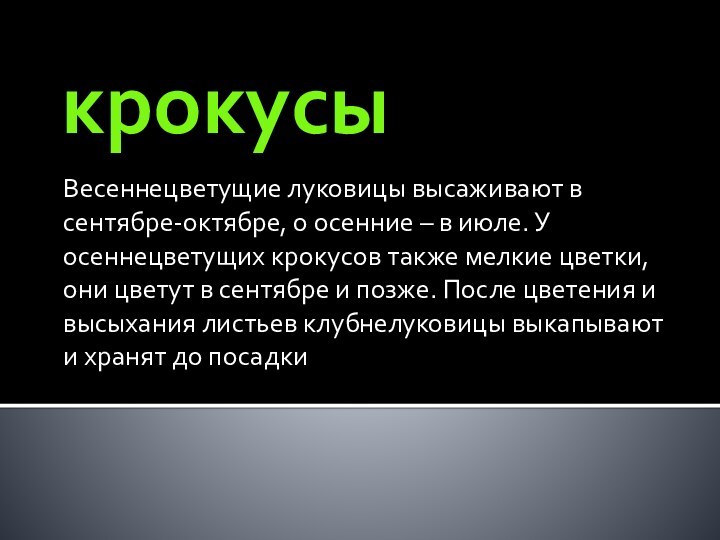 крокусыВесеннецветущие луковицы высаживают в сентябре-октябре, о осенние – в июле. У осеннецветущих