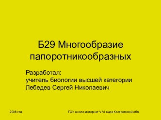 Презентация Многообразие папоротникообразных