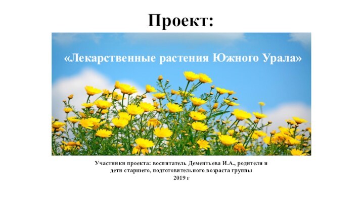 Проект: «Лекарственные растения Южного Урала»Участники проекта: воспитатель Дементьева И.А., родители и дети