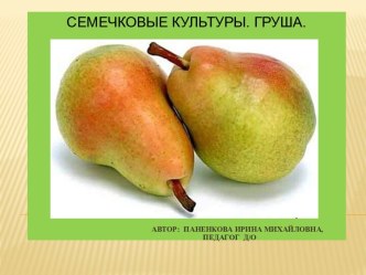 Презентация Семечковые культуры. Груша