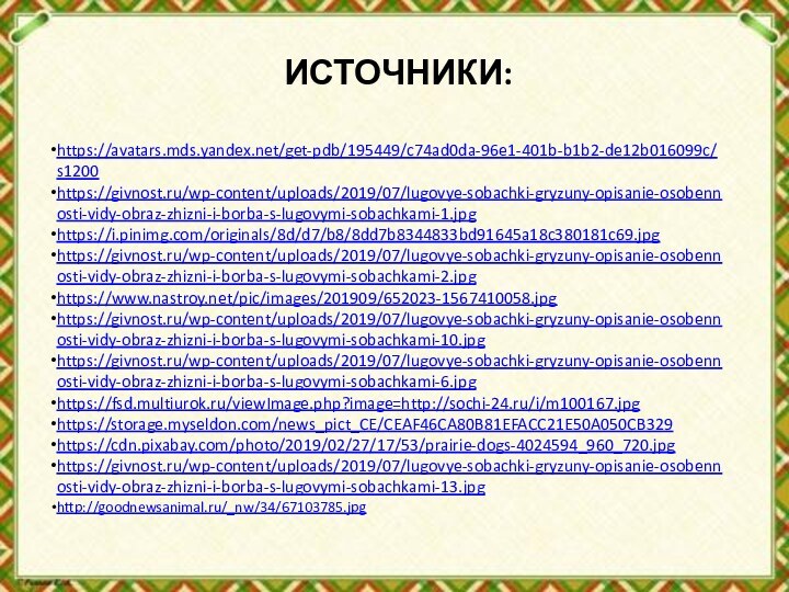 ИСТОЧНИКИ:https://avatars.mds.yandex.net/get-pdb/195449/c74ad0da-96e1-401b-b1b2-de12b016099c/s1200https://givnost.ru/wp-content/uploads/2019/07/lugovye-sobachki-gryzuny-opisanie-osobennosti-vidy-obraz-zhizni-i-borba-s-lugovymi-sobachkami-1.jpghttps://i.pinimg.com/originals/8d/d7/b8/8dd7b8344833bd91645a18c380181c69.jpghttps://givnost.ru/wp-content/uploads/2019/07/lugovye-sobachki-gryzuny-opisanie-osobennosti-vidy-obraz-zhizni-i-borba-s-lugovymi-sobachkami-2.jpghttps://www.nastroy.net/pic/images/201909/652023-1567410058.jpghttps://givnost.ru/wp-content/uploads/2019/07/lugovye-sobachki-gryzuny-opisanie-osobennosti-vidy-obraz-zhizni-i-borba-s-lugovymi-sobachkami-10.jpghttps://givnost.ru/wp-content/uploads/2019/07/lugovye-sobachki-gryzuny-opisanie-osobennosti-vidy-obraz-zhizni-i-borba-s-lugovymi-sobachkami-6.jpghttps://fsd.multiurok.ru/viewImage.php?image=http://sochi-24.ru/i/m100167.jpghttps://storage.myseldon.com/news_pict_CE/CEAF46CA80B81EFACC21E50A050CB329https://cdn.pixabay.com/photo/2019/02/27/17/53/prairie-dogs-4024594_960_720.jpghttps://givnost.ru/wp-content/uploads/2019/07/lugovye-sobachki-gryzuny-opisanie-osobennosti-vidy-obraz-zhizni-i-borba-s-lugovymi-sobachkami-13.jpghttp://goodnewsanimal.ru/_nw/34/67103785.jpg