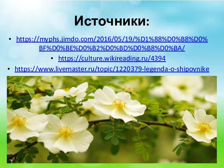 Источники:https://myphs.jimdo.com/2016/05/19/%D1%88%D0%B8%D0%BF%D0%BE%D0%B2%D0%BD%D0%B8%D0%BA/https://culture.wikireading.ru/4394https://www.livemaster.ru/topic/1220379-legenda-o-shipovnike