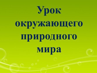 Презентация к уроку окружающего природного мира по теме Дикие животные