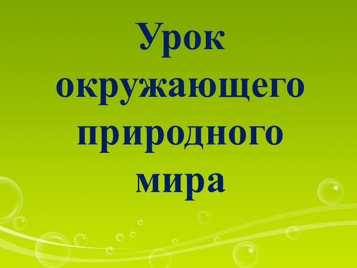 Урок окружающего природного мира