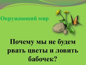 Презентация Почему мы не будем рвать цветы и ловить бабочек?