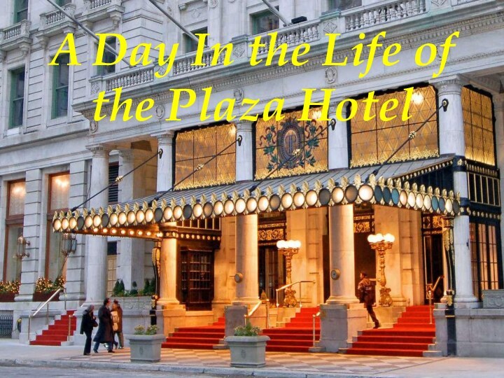 A Day In the Life of the Plaza Hotel