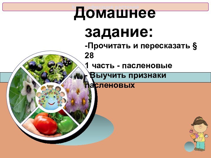 Домашнее задание: -Прочитать и пересказать § 28  1 часть - пасленовые - Выучить признаки пасленовых