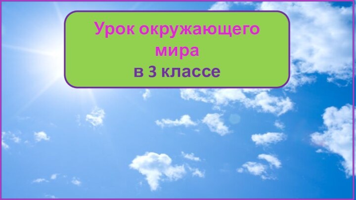 Урок окружающего мира в 3 классе