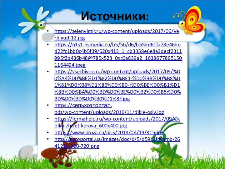 Источники:https://zelenyjmir.ru/wp-content/uploads/2017/06/Verblyud-12.jpghttps://n1s1.hsmedia.ru/b5/5b/d6/b55bd61fa78e46bed22fc1bb0c4b5f39/620x413_1_cb3358e6e8a3decf2311995f2b436b48@785x523_0xc0a839a2_16386778951501164494.jpeghttps://vsezhivoe.ru/wp-content/uploads/2017/09/%D0%A4%D0%BE%D1%82%D0%BE1-%D0%9B%D0%B8%D1%81%D0%B8%D1%86%D0%B0-%D0%BE%D0%B1%D1%8B%D0%BA%D0%BD%D0%BE%D0%B2%D0%B5%D0%BD%D0%BD%D0%B0%D1%8F.jpghttps://сельхозпортал.рф/wp-content/uploads/2016/11/dikie-osly.jpghttps://fermahelp.ru/wp-content/uploads/2017/09/Ckolko-zhivet-korova_600x400.jpghttps://www.proza.ru/pics/2018/04/19/815.jpghttp://agroportal.ua/images/doc/d/5/d59c3fc-lamb-2641216-960-720.png